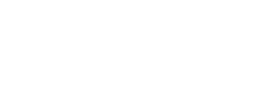 The Vishwak